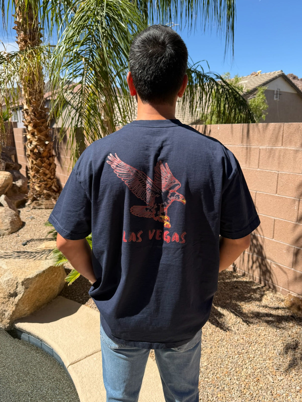 Men’s Desert Wings Boxy T-Shirt