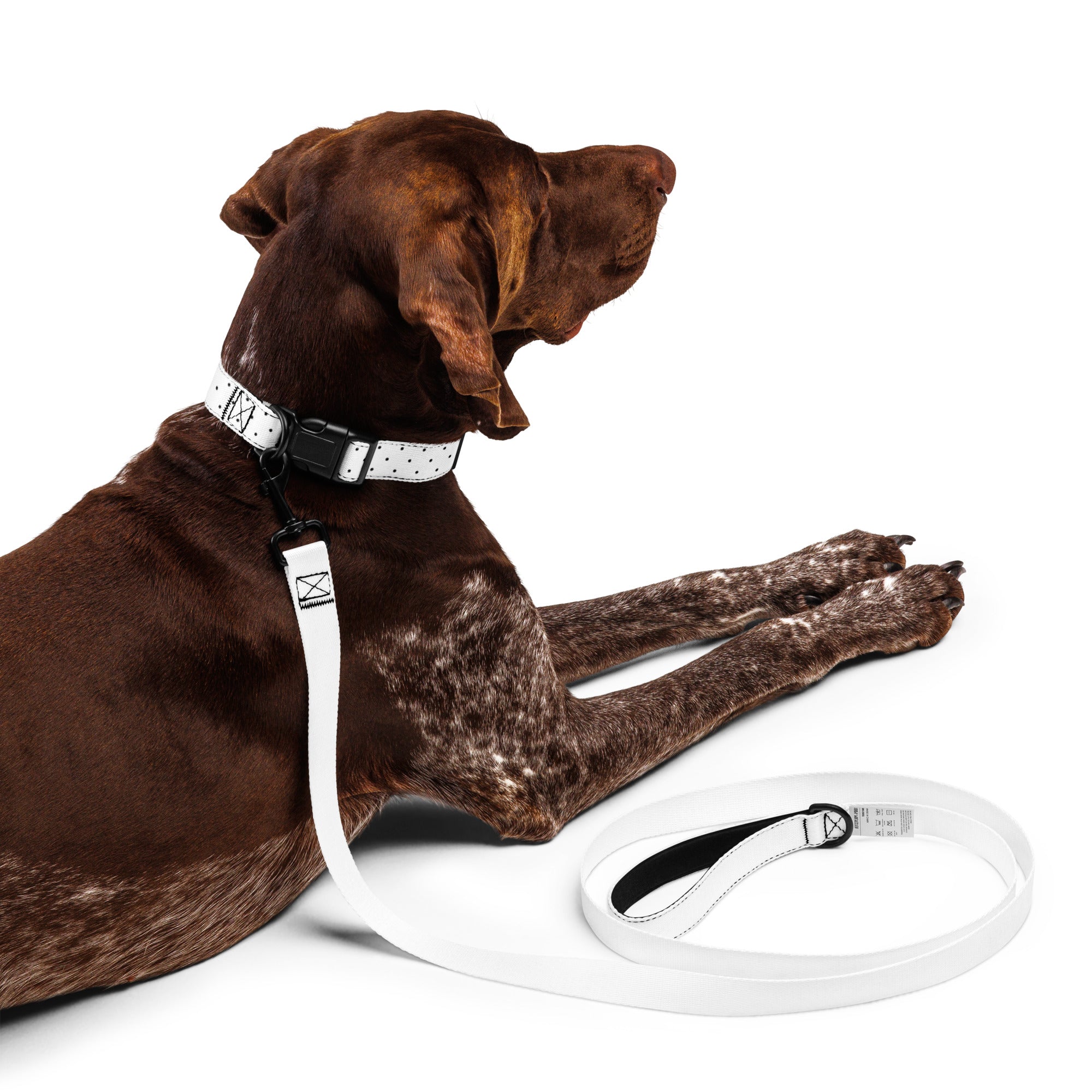 Polka Dot Pet Collar & Leash - White